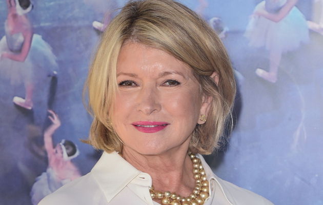 非常女人,美国家政女王,玛莎·斯图尔特