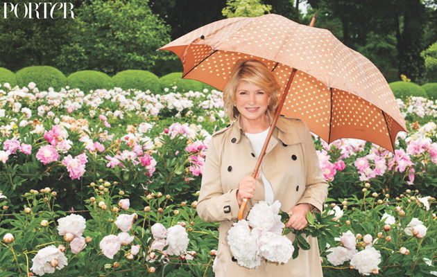 非常女人,美国家政女王,玛莎·斯图尔特